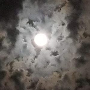 Meet your Posher, Claire